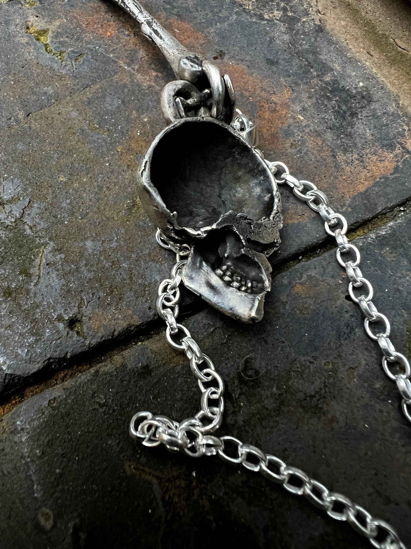 Bones