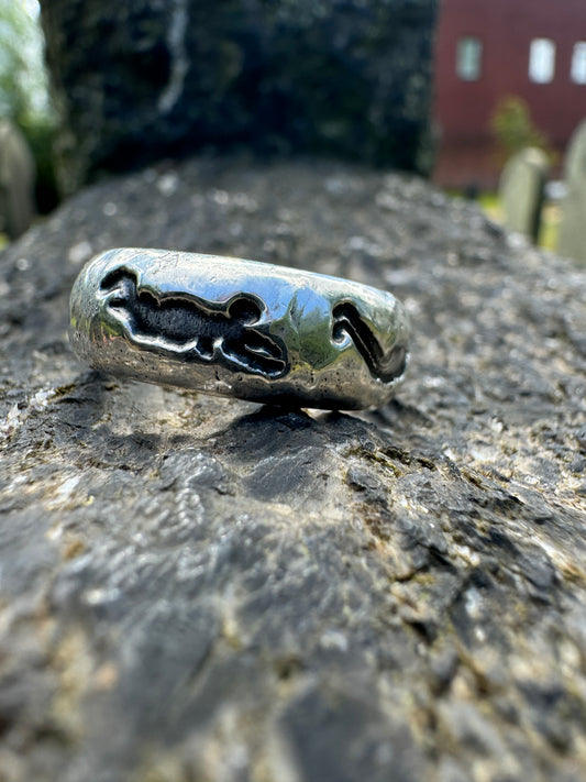 Cave Of Swimmers Ring